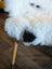 White and black fluffy icelandic sheepskin chair with wooden legs featuring medium spotted short wool texture