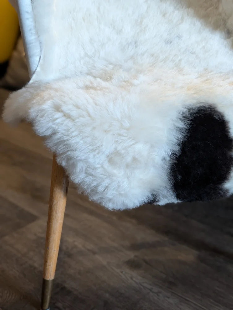 White icelandic sheepskin chair pad with a black patch made of medium short wool perfect for cozy seating