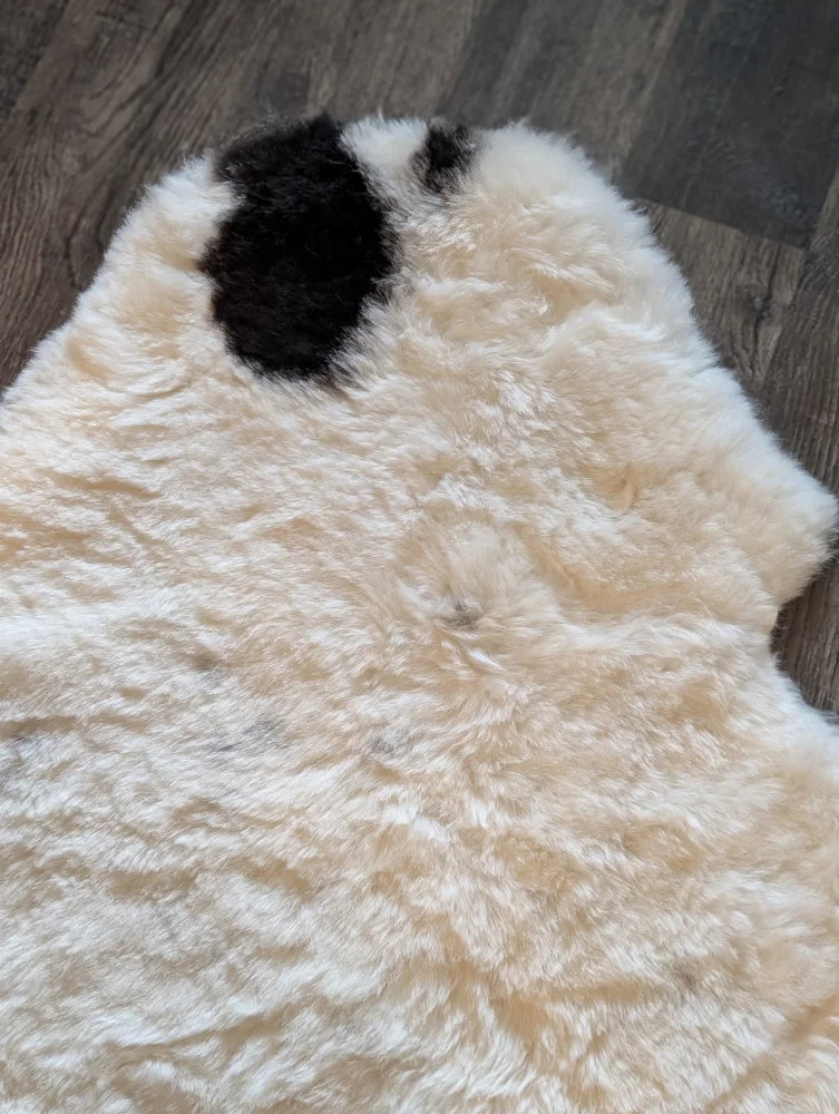 Cream-colored icelandic sheepskin rug with a single black patch featuring short wool texture for cozy use