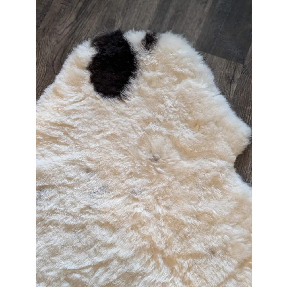 Cream-colored icelandic sheepskin rug with a single black patch featuring short wool texture for cozy use