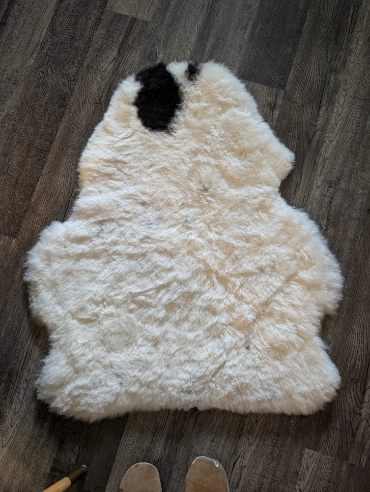 A plush white icelandic sheepskin with a black patch featuring medium short wool on dark wood floor