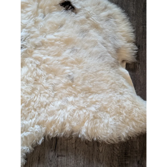 Cream-colored curly icelandic sheepskin rug with soft short wool and natural edges 42 x 32 medium spot
