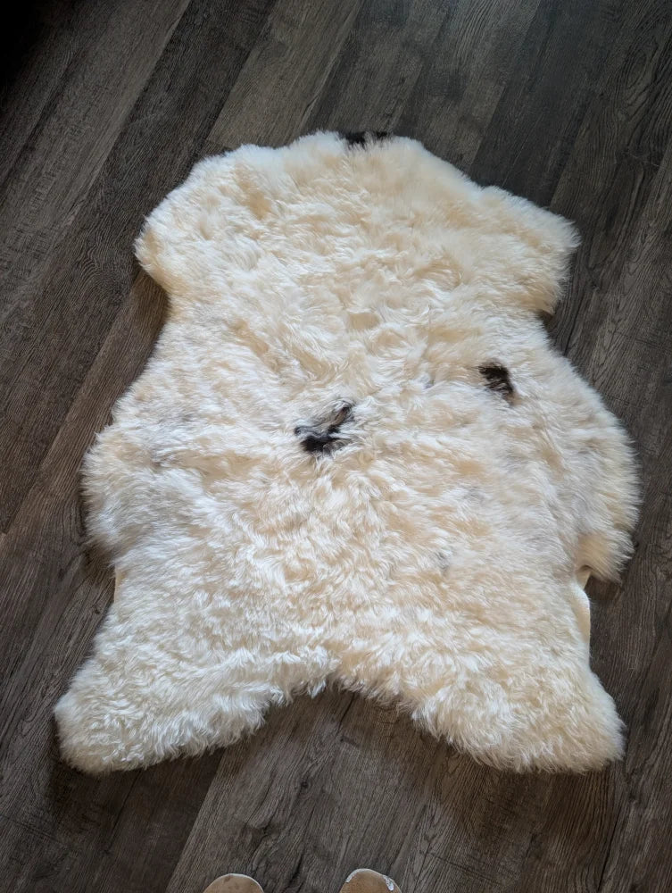 Cream-colored fluffy medium icelandic sheepskin rug with natural black markings and short wool texture spot2 heart