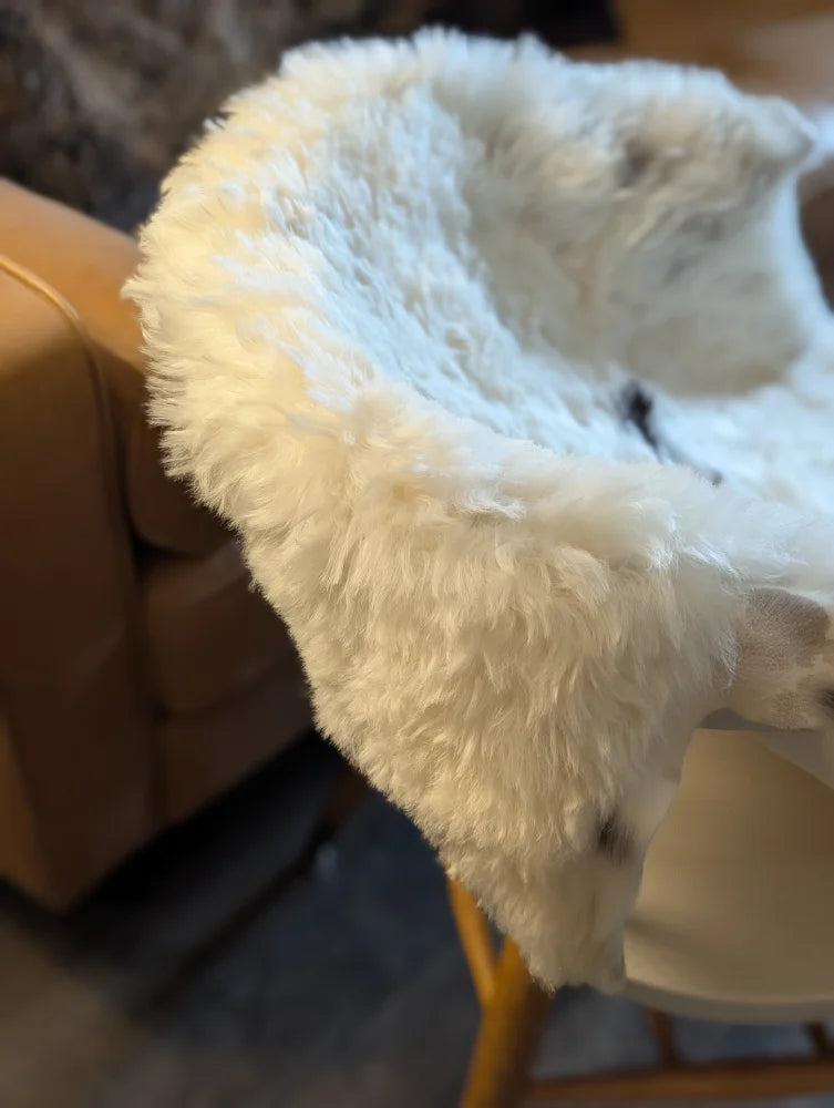 White fluffy icelandic sheepskin throw with medium spots draped over chair back made of short wool