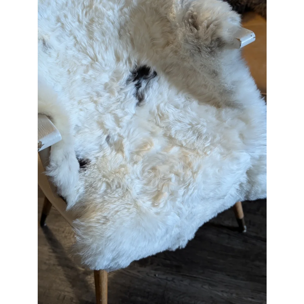 White icelandic sheepskin rug with black patches and short wool draped over the back of a wooden chair