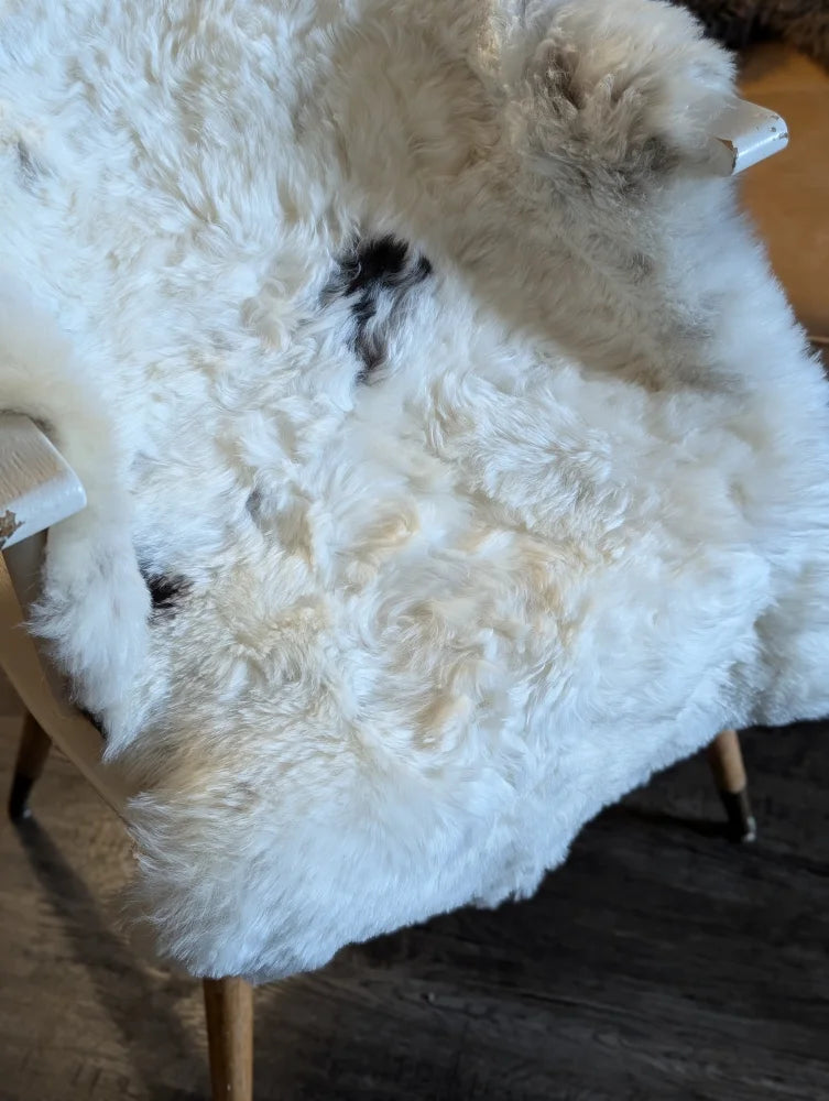 White icelandic sheepskin rug with black patches and short wool draped over the back of a wooden chair