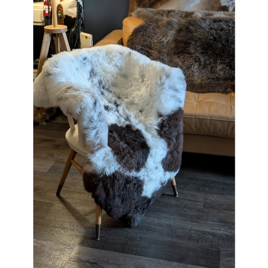 A large 48 by 37 icelandic sheepskin throw with short wool in white and dark brown patchwork draped on a wooden chair