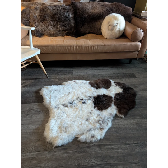 A large irregular icelandic sheepskin rug with white base and dark brown patches made of short wool