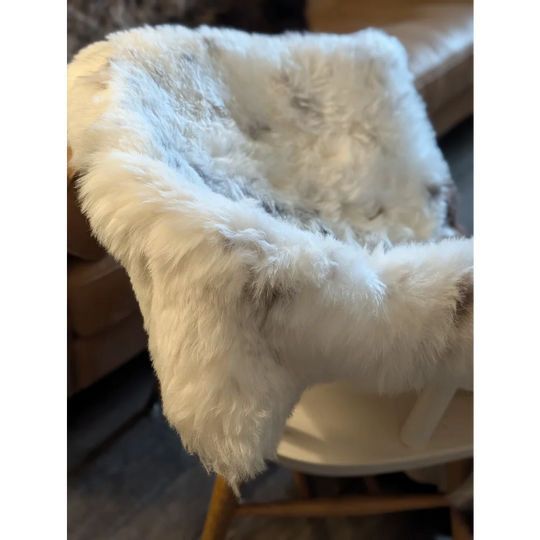 White fluffy icelandic sheepskin throw with short wool draped over chair in spot 20 large spotted style