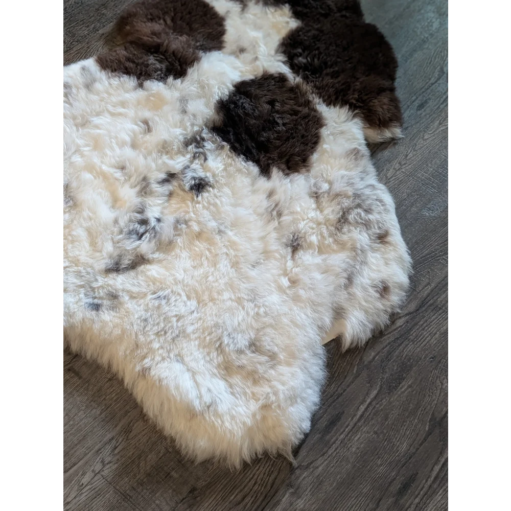 Creamy white and dark brown curved icelandic sheepskin rug with short wool and natural fluffy texture spot 20 48x37 inches