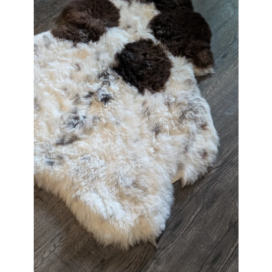 Creamy white and dark brown curved icelandic sheepskin rug with short wool and natural fluffy texture spot 20 48x37 inches