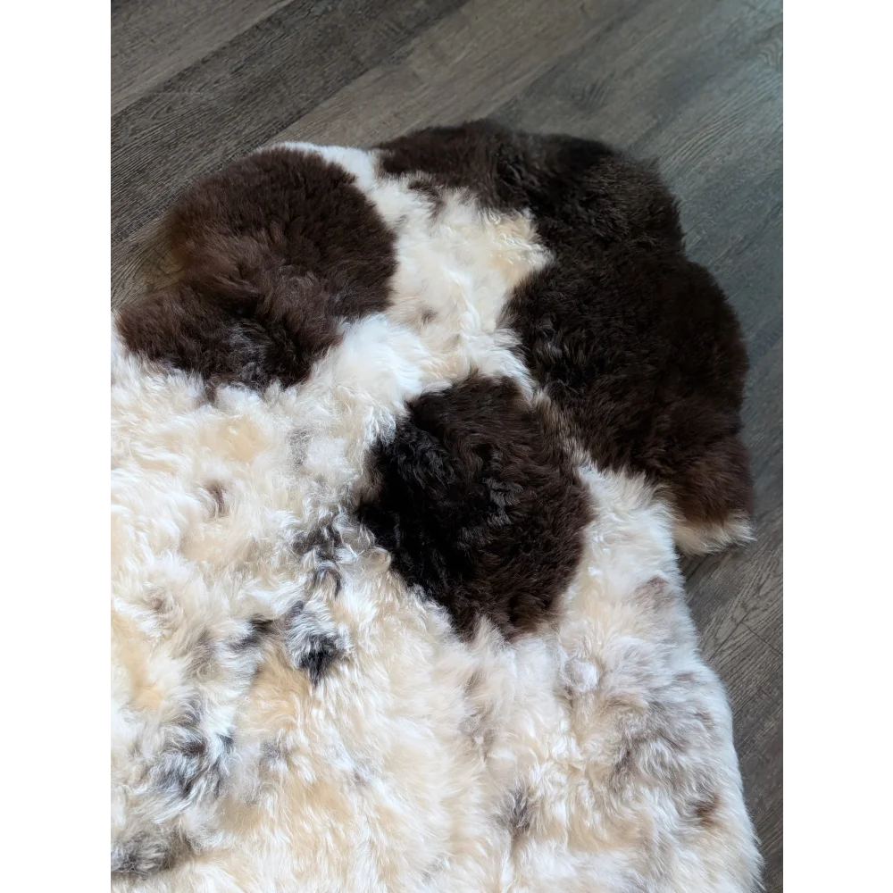 A plush icelandic sheepskin rug in cream dark brown and black with short wool and irregular natural pattern
