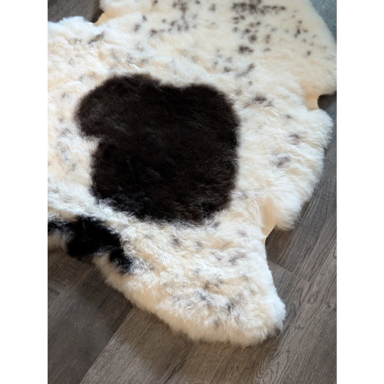 A large cream icelandic sheepskin rug with a dark brown patch and black speckles made of short wool