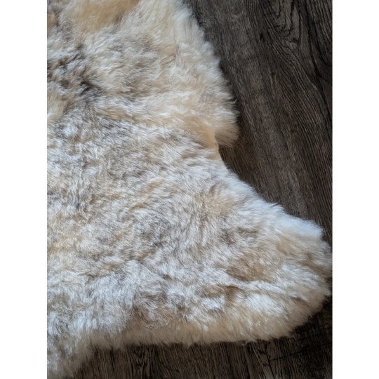 Large cream-colored fluffy icelandic sheepskin rug with natural gray and white short wool fur spot23