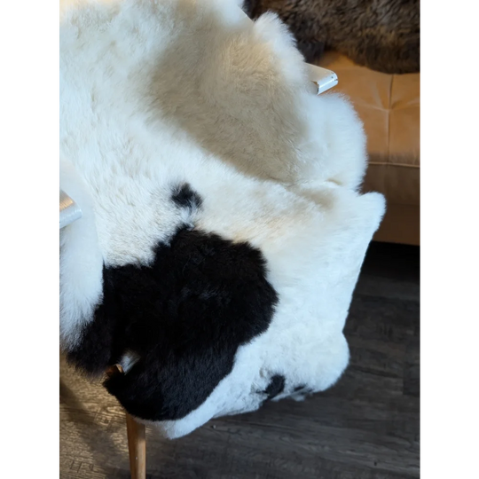 A plush white and black cowhide rug made of soft icelandic sheepskin short wool measuring 49 by 32 inches