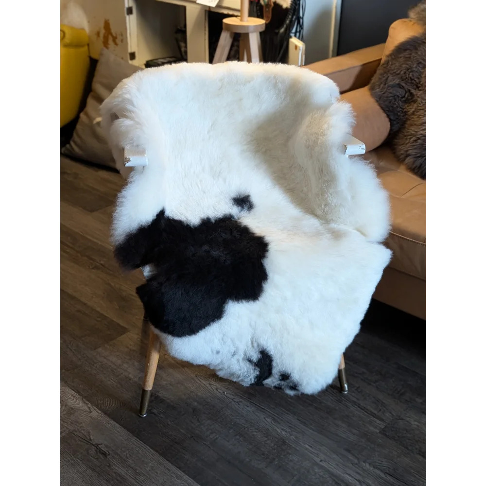 A cozy black and white cow-print icelandic sheepskin cover with short wool draped over a wooden armchair