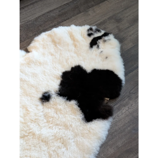 Cream-colored icelandic sheepskin rug with black paw print patches made of short wool 49 by 32 inches