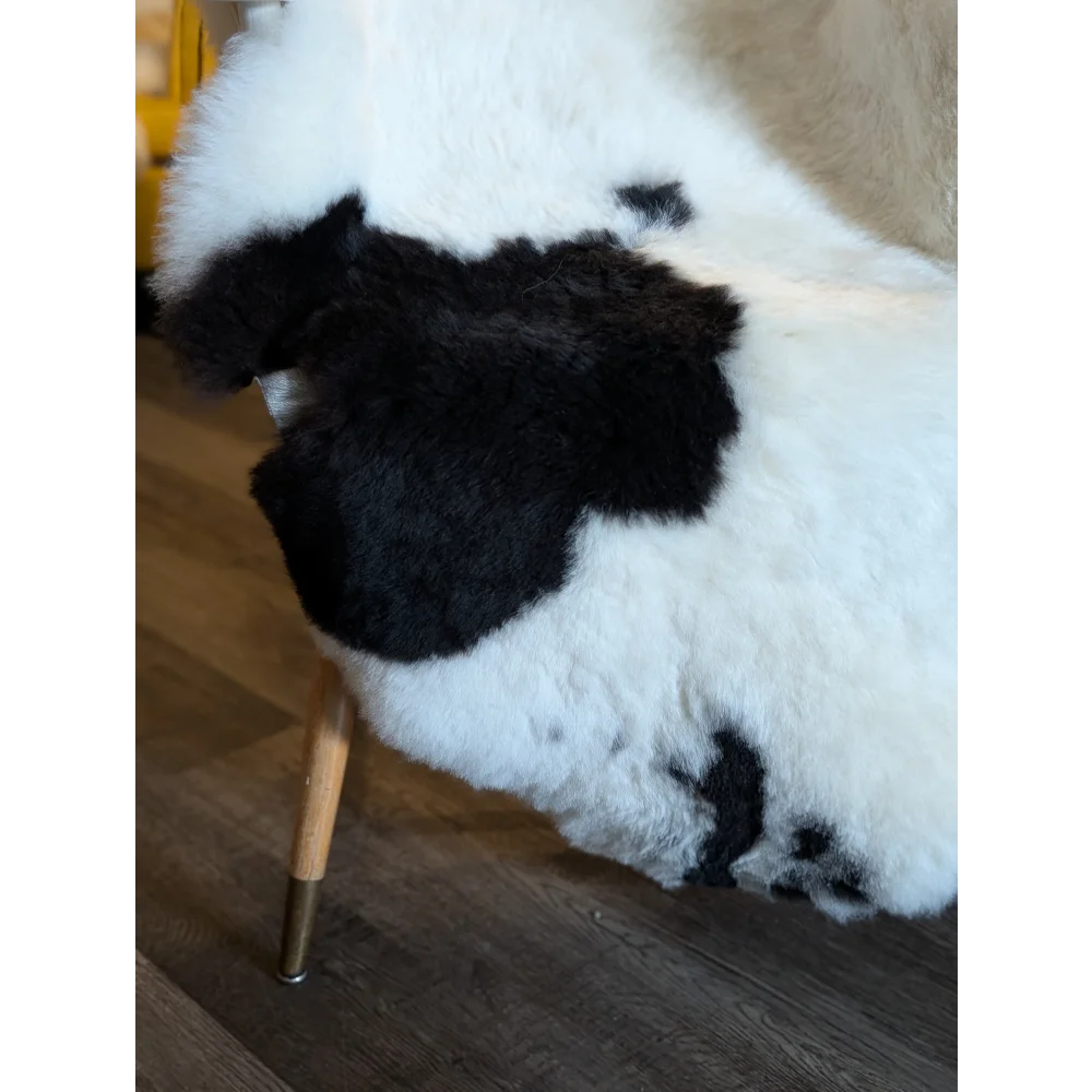 A plush black and white cow print icelandic sheepskin chair with short wool and wooden legs with brass foot caps