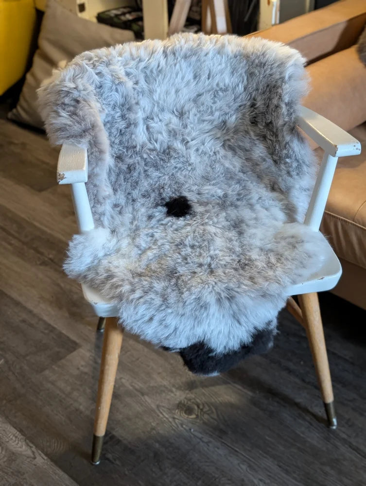 A plush gray and white icelandic sheepskin chair cover with soft short wool and fluffy texture for cozy seating