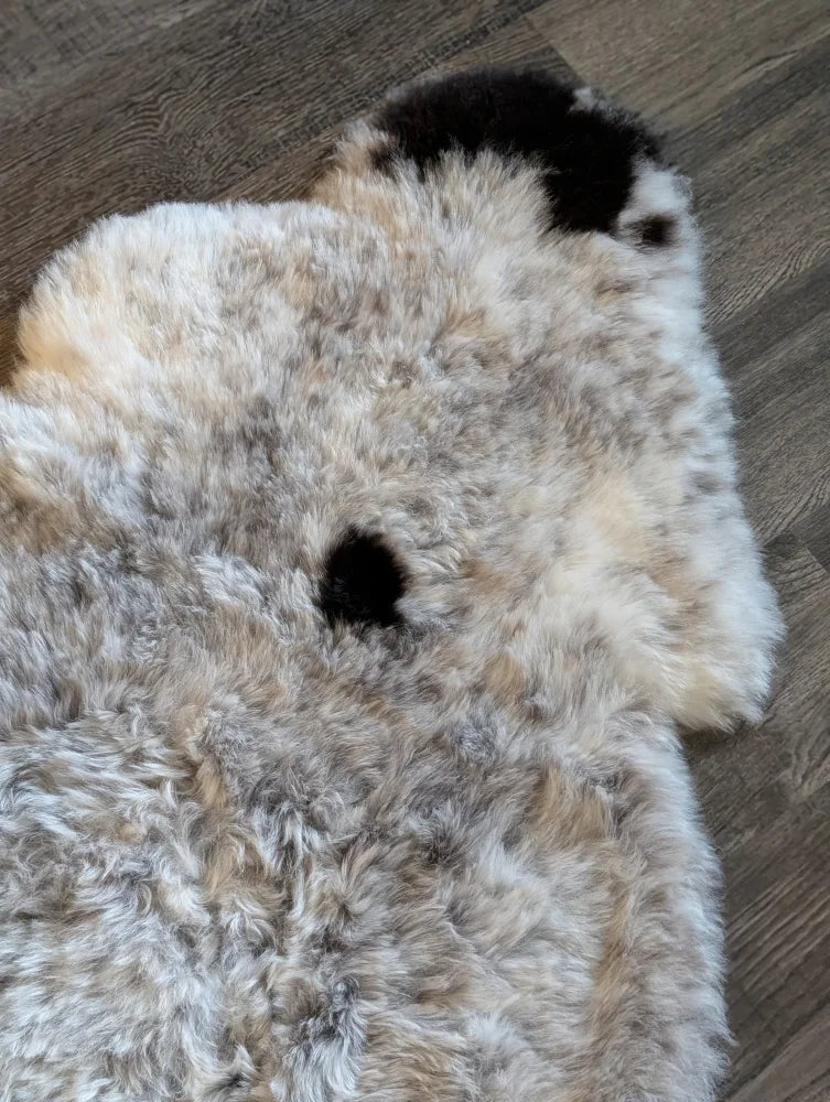 A plush icelandic sheepskin rug with short wool in cream and gray hues featuring black patches spot3 medium size