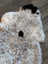 A plush icelandic sheepskin rug with short wool in cream and gray hues featuring black patches spot3 medium size