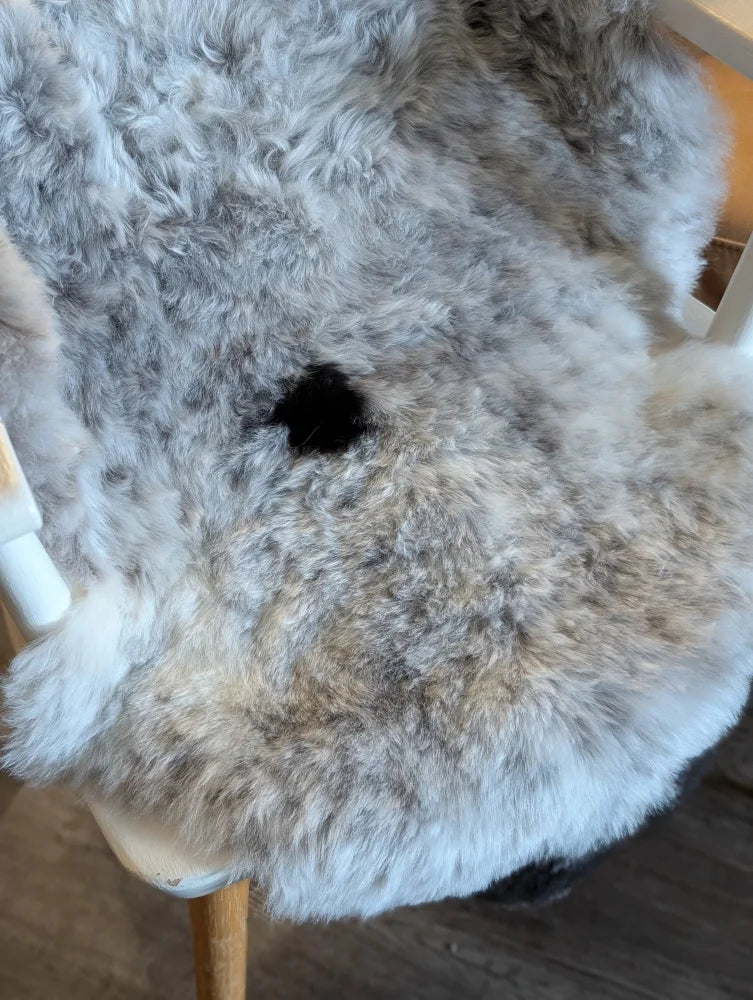 A soft gray medium spotted icelandic sheepskin rug with short wool and natural curly texture spot3❤️