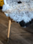 A plush gray and black medium spotted icelandic sheepskin throw with short wool draped over a white chair with wooden legs