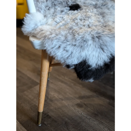 A plush gray and black medium spotted icelandic sheepskin throw with short wool draped over a white chair with wooden legs