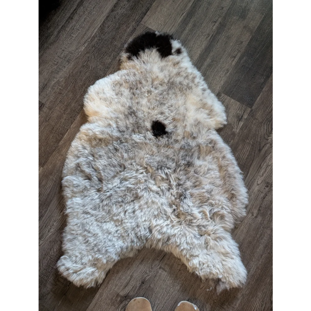 Fluffy medium spotted icelandic sheepskin rug with soft cream and grayish white short wool and black patches
