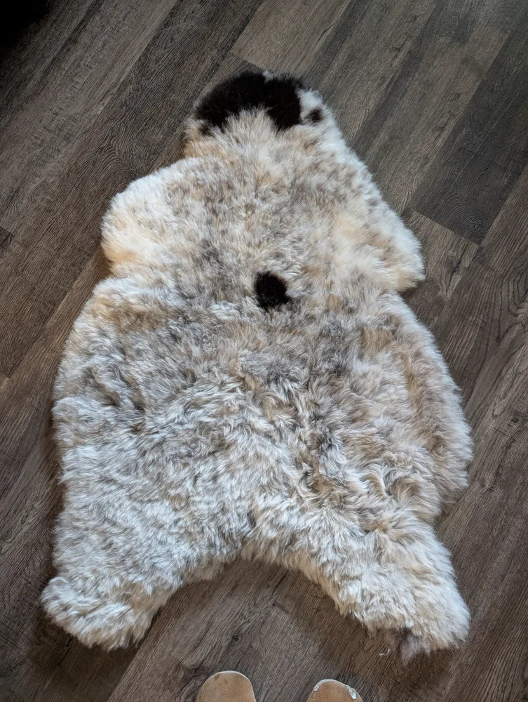 Fluffy medium spotted icelandic sheepskin rug with soft cream and grayish white short wool and black patches