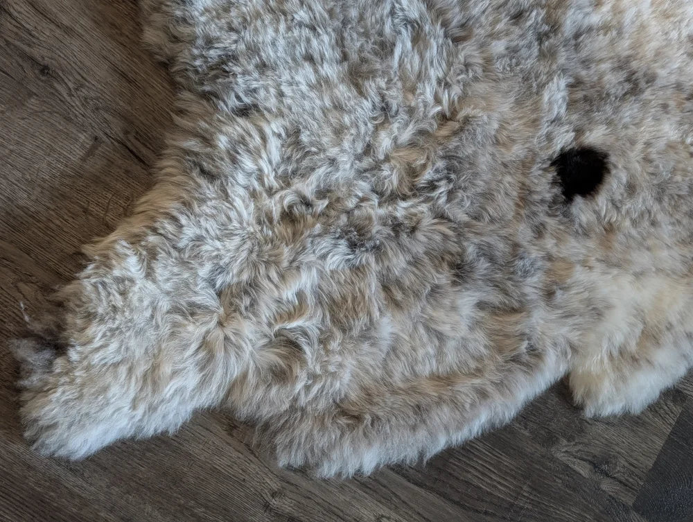 A plush curly gray and white icelandic sheepskin rug with short wool and natural irregular edges spot3 medium size