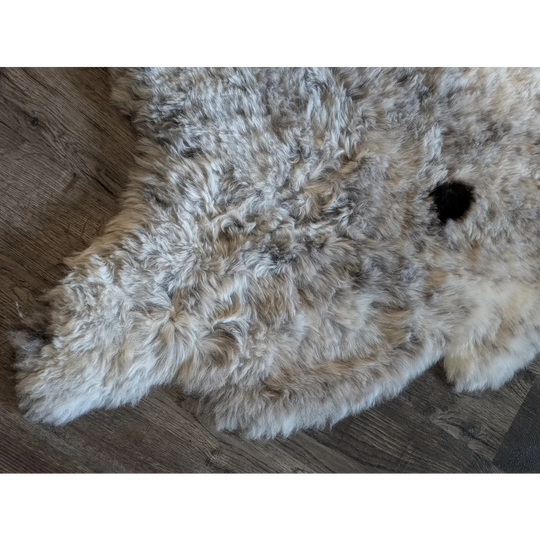 A plush curly gray and white icelandic sheepskin rug with short wool and natural irregular edges spot3 medium size