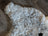 A soft curly gray and white icelandic sheepskin rug with natural fluffy texture made of short wool spot#3 medium size