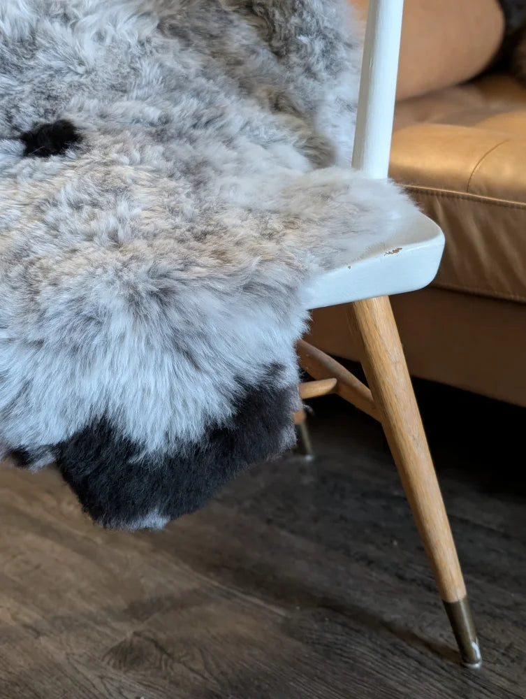 A plush gray and black icelandic sheepskin with short wool draped over a white chair with wooden legs