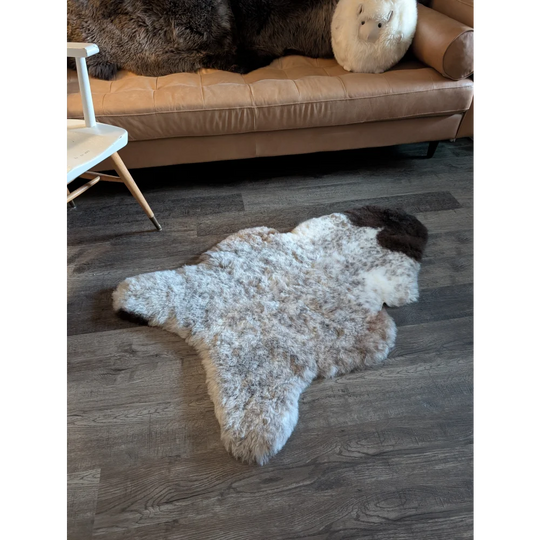 A plush irregular icelandic sheepskin rug with white and dark brown short wool on a wooden floor