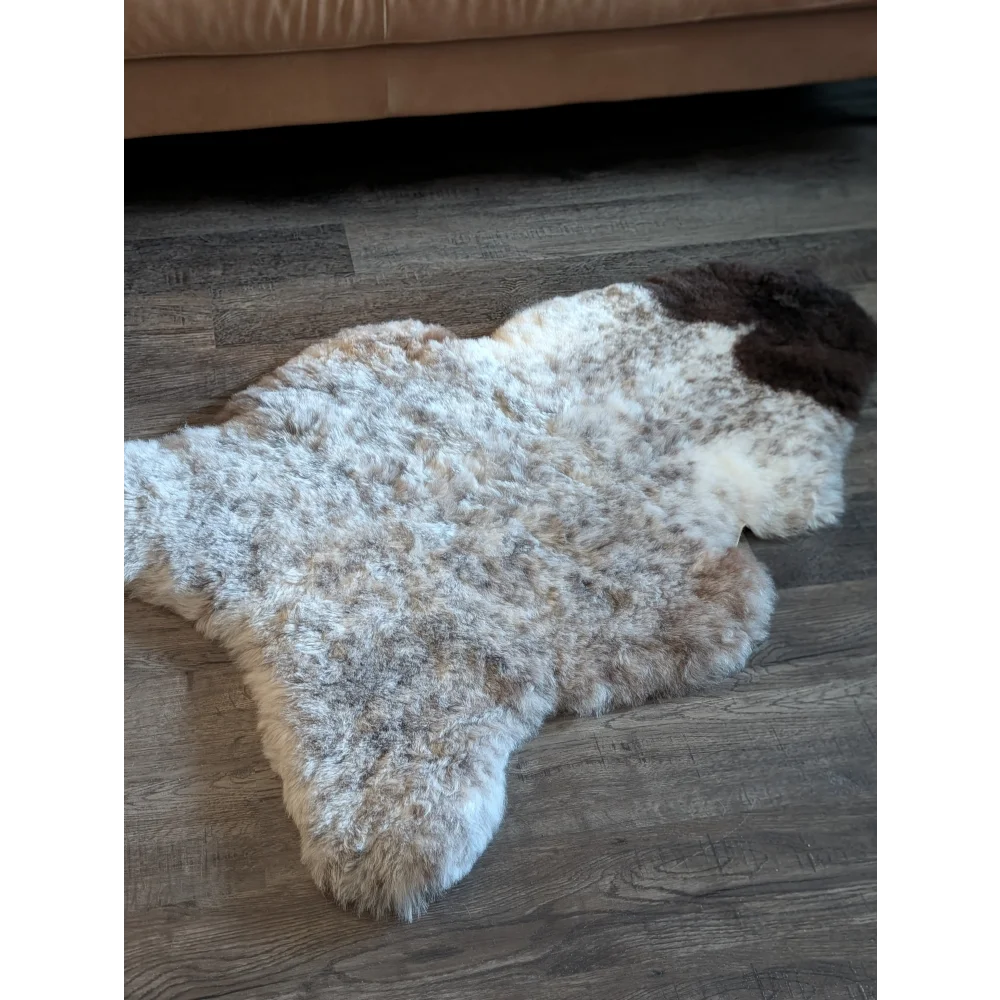 A large 49 x 31 icelandic sheepskin rug with soft white and brown short wool and natural irregular edges