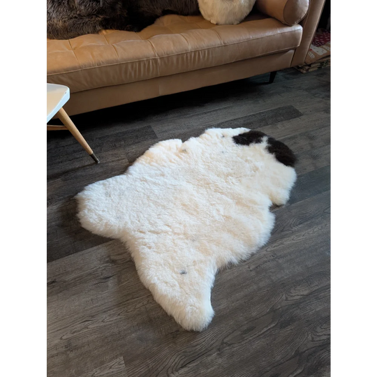White and black spotted icelandic sheepskin rug with fluffy short wool texture on dark wood flooring