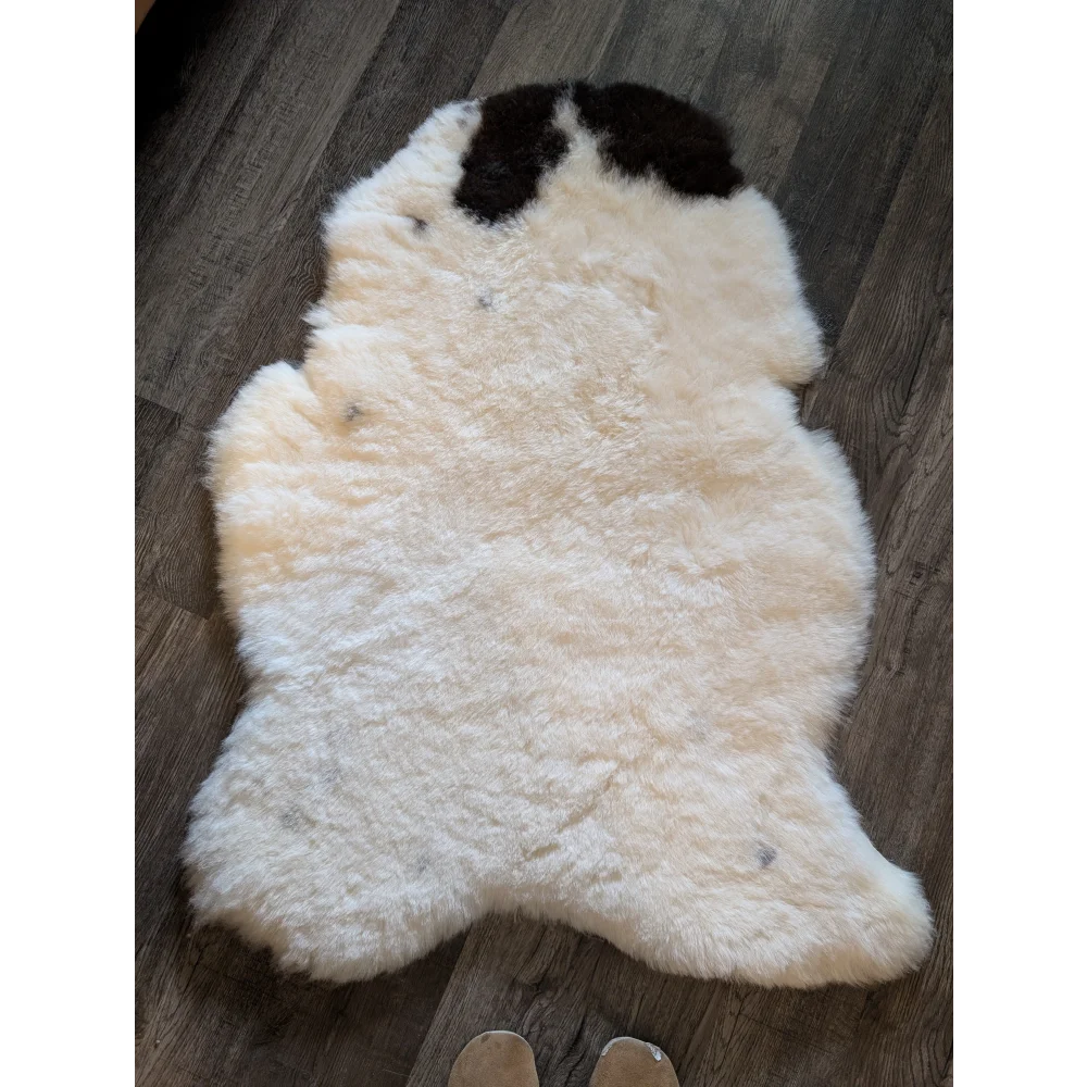 Cream-colored icelandic sheepskin rug with a black patch featuring short wool in a large 47 by 33 inch size