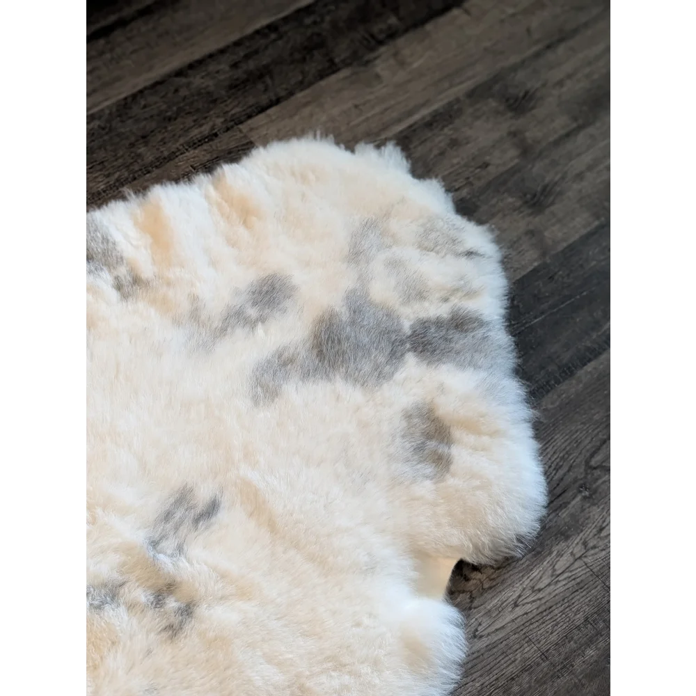 Cream-colored icelandic sheepskin rug with natural gray patches and soft short wool texture, large 47.7 by 31 inches