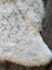 A plush cream-colored icelandic sheepskin rug with soft short wool and subtle gray speckles 45 by 31 inches