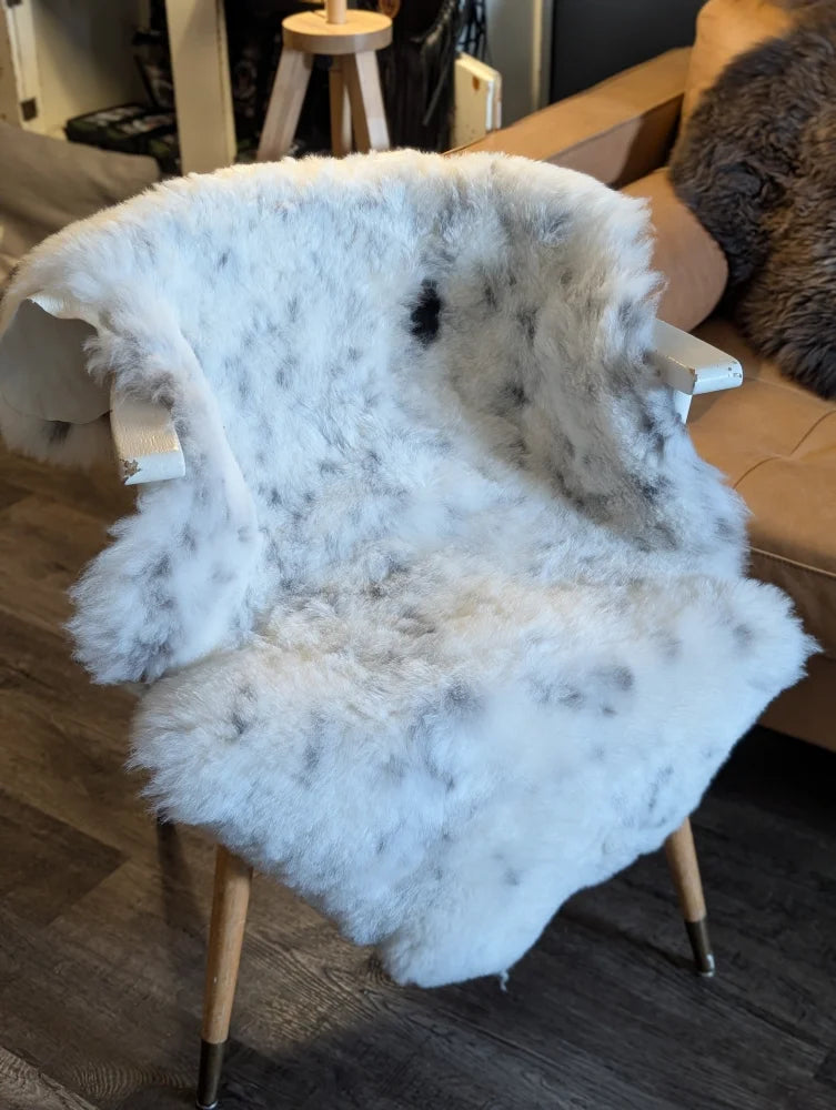 A large icelandic sheepskin throw with short wool and black speckles draped over a wooden chair