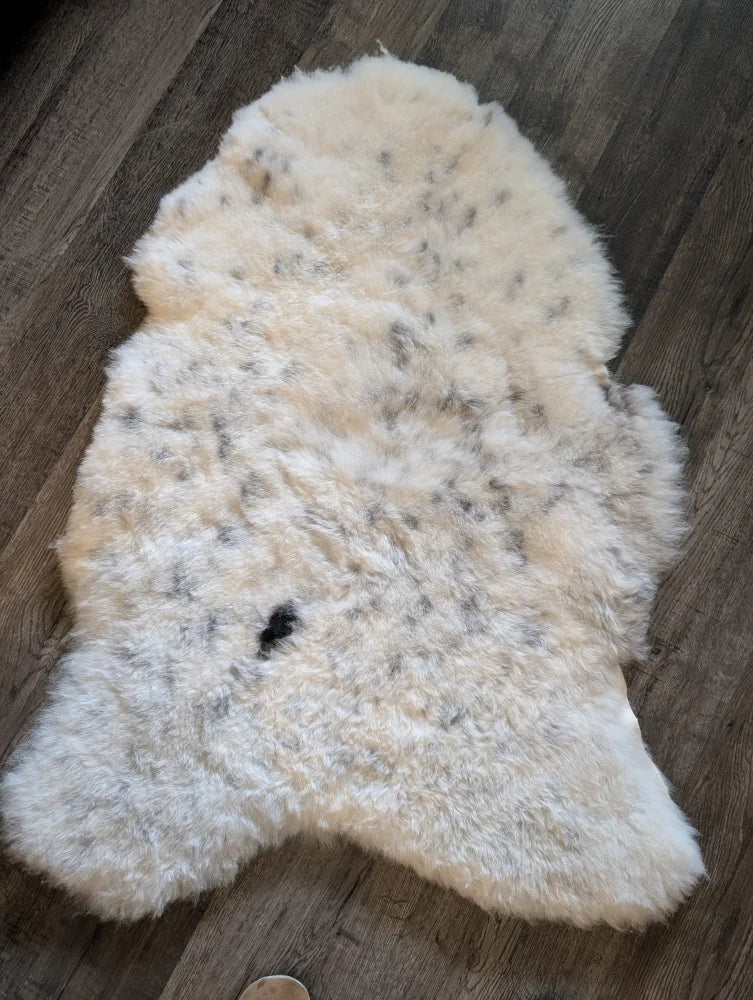 Cream-colored icelandic sheepskin rug with soft short wool and dark speckles in large 45 by 31 size