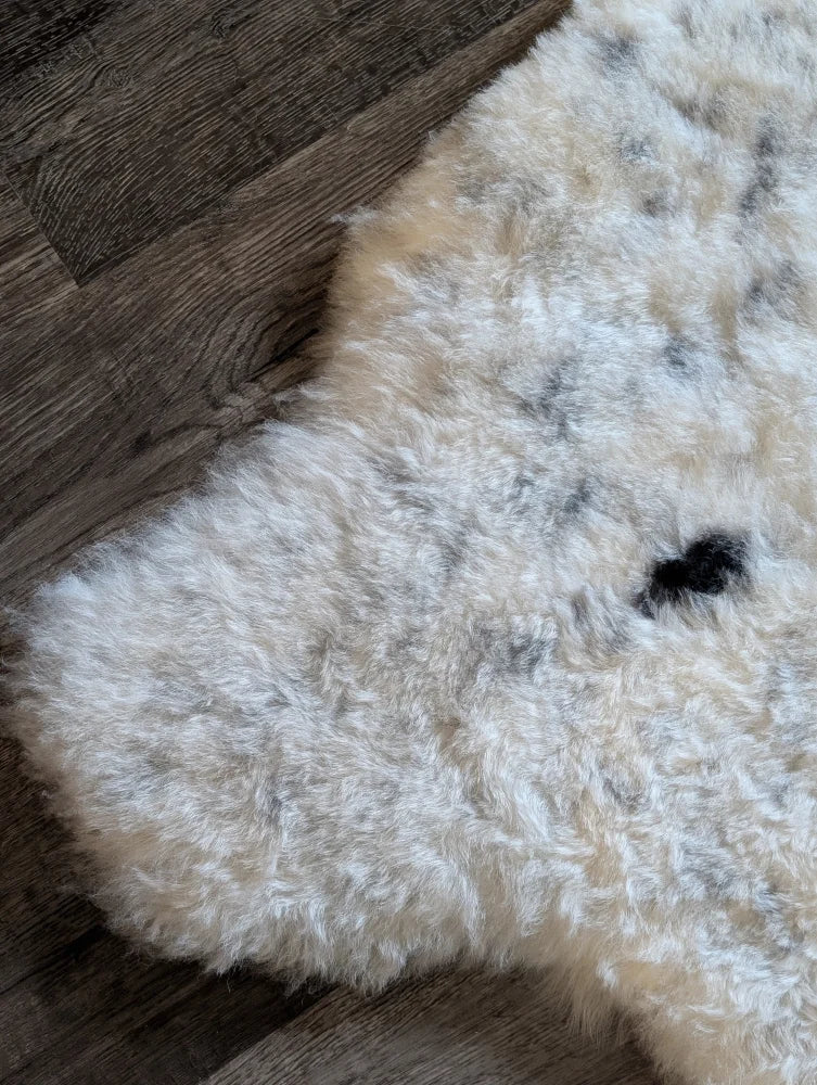 Fluffy off-white icelandic sheepskin rug with dark gray and black speckles in short wool style 45 by 31 inches
