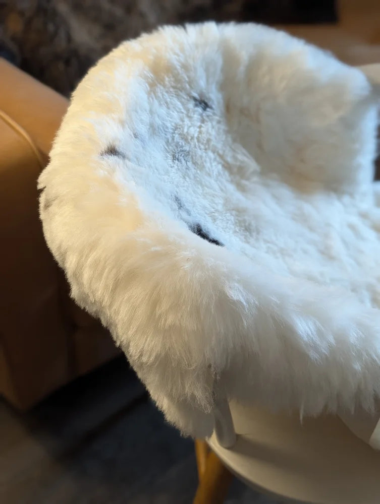White fluffy icelandic sheepskin chair cover with soft plush texture made from medium spotted short wool sheepskins