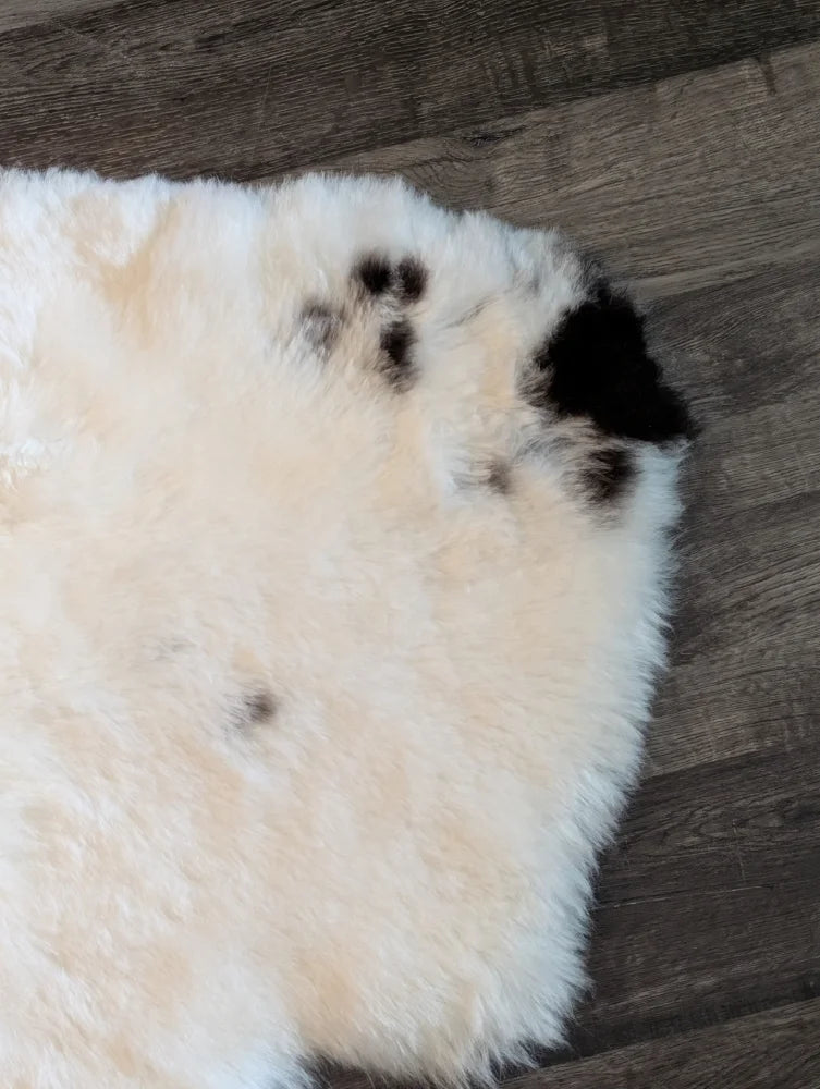 Cream-colored icelandic sheepskin rug with black paw print design made of short wool spot4 medium size