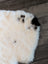 Cream-colored icelandic sheepskin rug with black paw print design made of short wool spot4 medium size