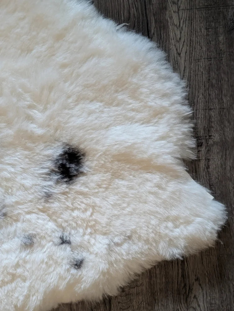 Cream icelandic sheepskin rug in short wool with fluffy texture and dark speckles 41 by 29 inches medium spot
