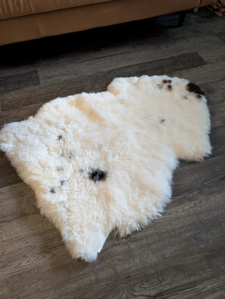 Cream-colored icelandic sheepskin rug with black spot accents made of medium short wool measuring 41 by 29 inches