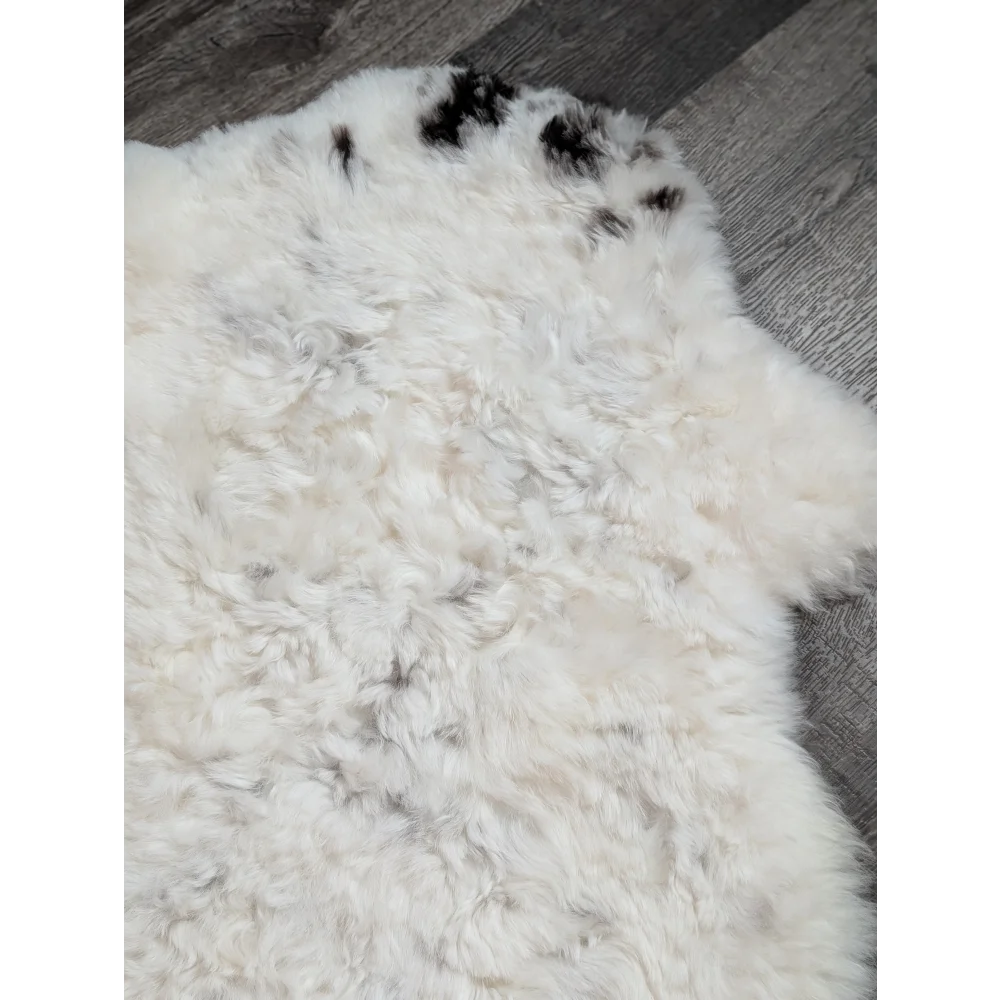 Large soft spotted icelandic sheepskin rug with white curly fur and black patches perfect for cozy decor