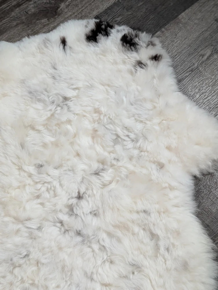 Large soft spotted icelandic sheepskin rug with white curly fur and black patches perfect for cozy decor